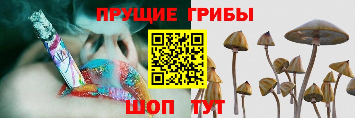 Галлюциногенные грибы мухоморы Пушкино